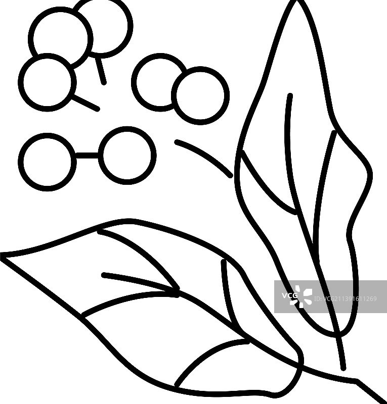 樟脑芳香疗法线性隔离图标图片素材