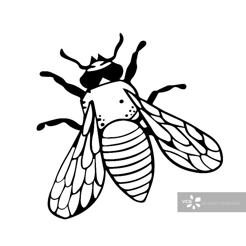 涂鸦风格黑色翅膀图片素材