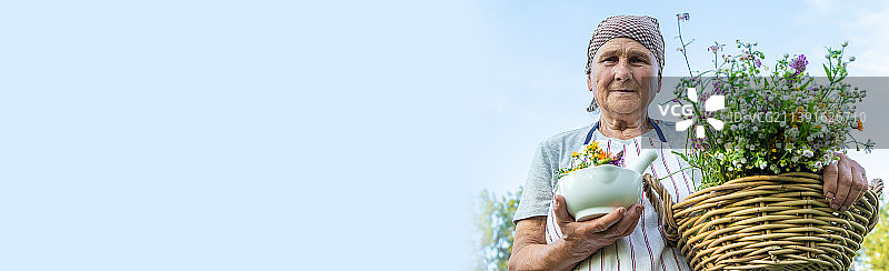 采摘草药的老年妇女，局部焦点图片素材