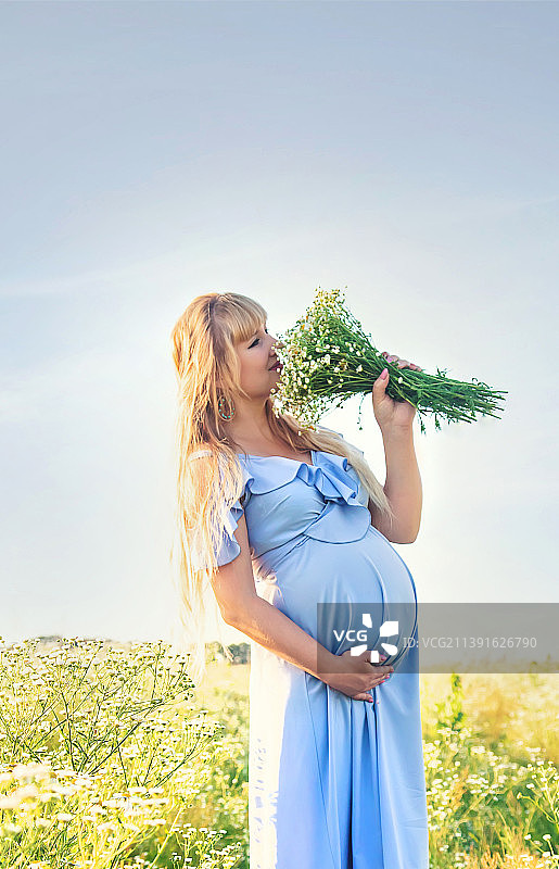 孕妇手捧洋甘菊，选择性聚焦图片素材