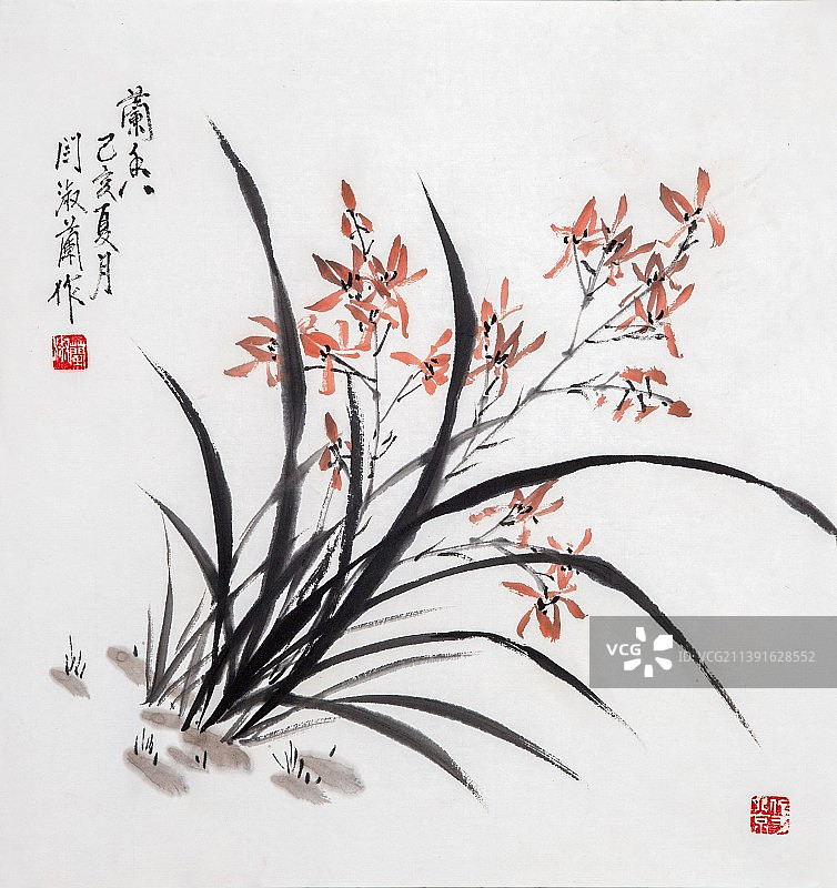 中国绘画——兰花图片素材