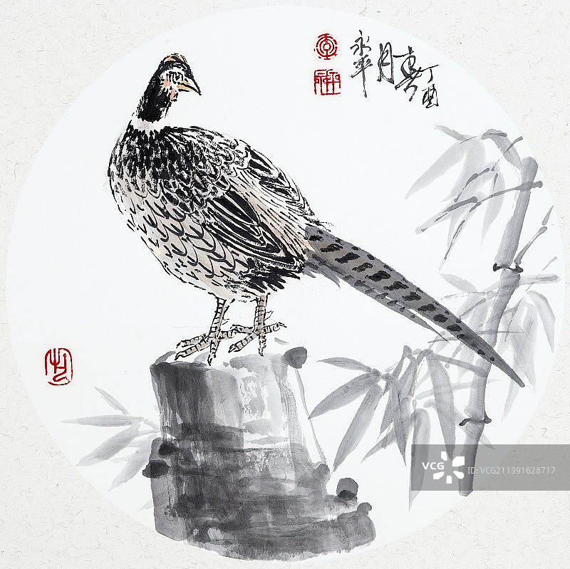 中国绘画——雉图片素材