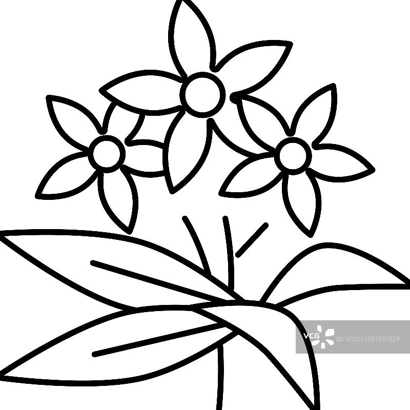 橙花精油香薰线性图标图片素材