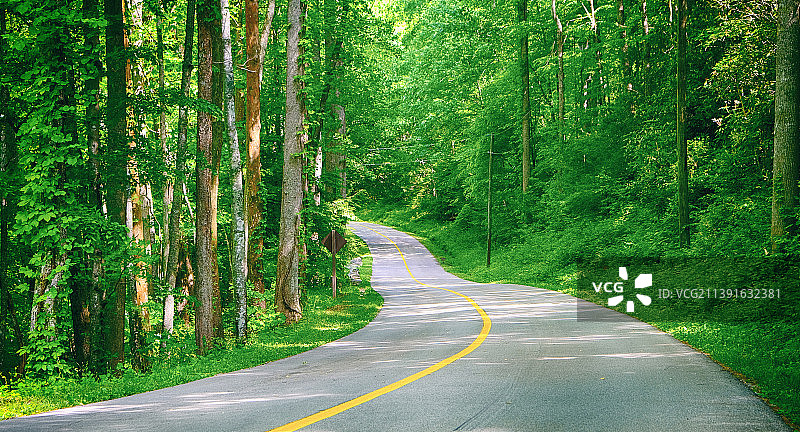 美国田纳西州加特林堡森林中的空旷道路图片素材