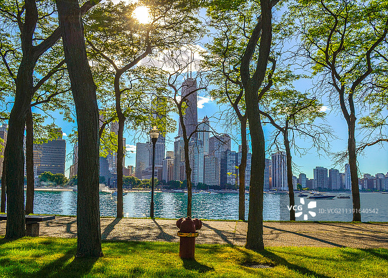 美国伊利诺伊州芝加哥河畔树木图片素材