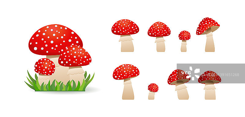 大型蘑菇毒菌可爱不可食用合集图片素材