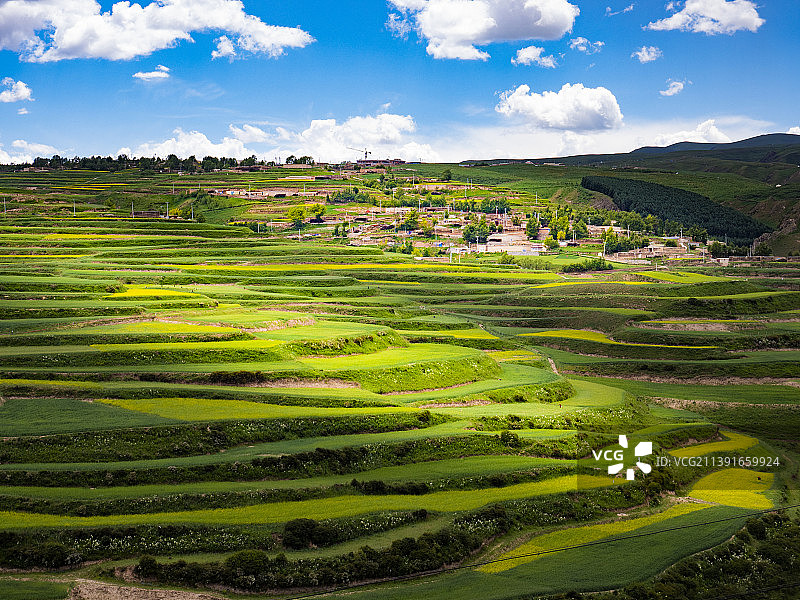 农业梯田顶天景观图片素材