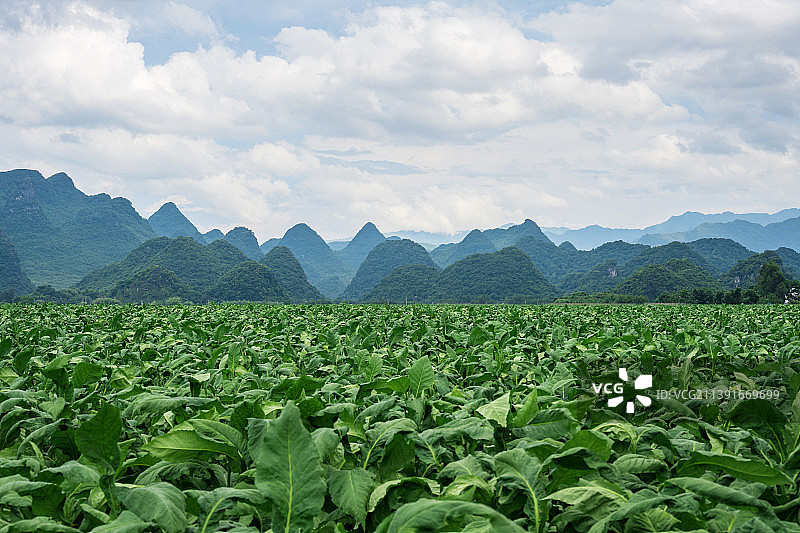 湖南永州宁远十里画廊风光图片素材