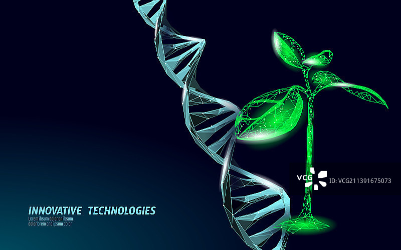 植物发芽生物技术抽象概念3D图片素材