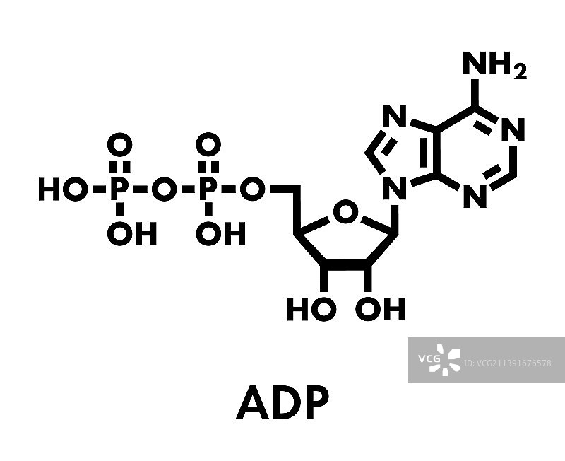 二磷酸腺苷ADP分子图片素材