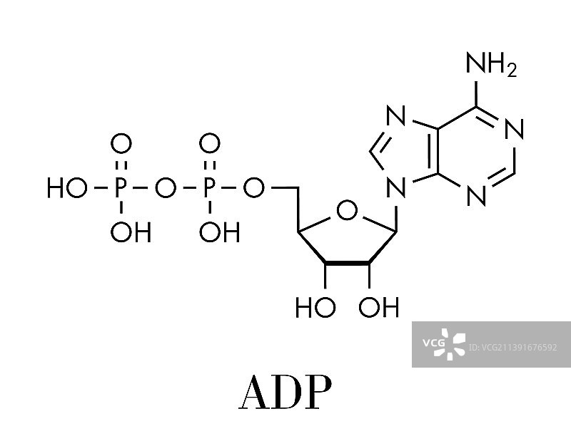 二磷酸腺苷ADP分子图片素材