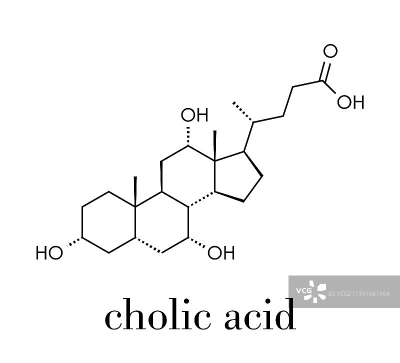 胆酸胆酸分子主要胆汁酸图片素材