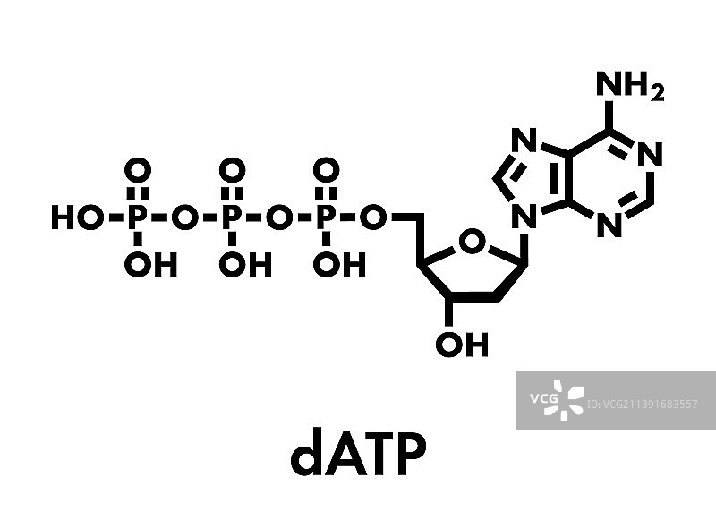 脱氧腺苷三磷酸核苷酸图片素材
