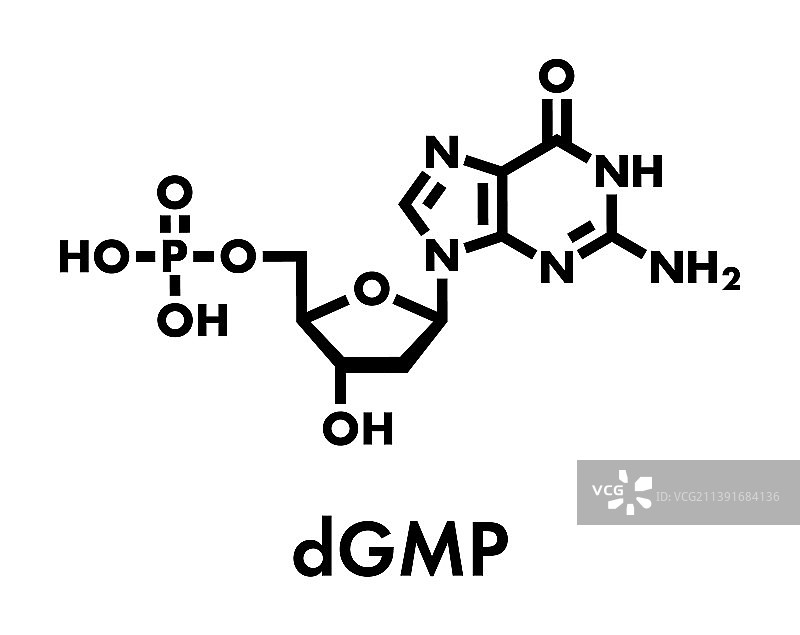 脱氧鸟苷单磷酸核苷酸图片素材