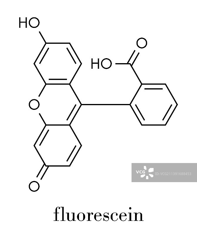荧光素分子骨架式图片素材