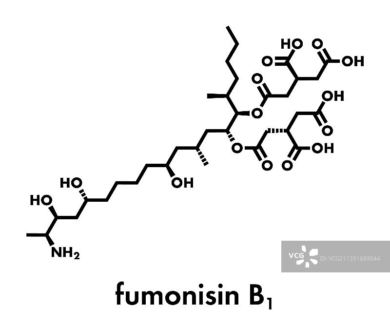 伏马菌素B1霉菌毒素分子图片素材