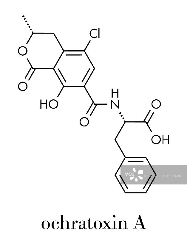 赭曲霉毒素A分子骨骼式图片素材