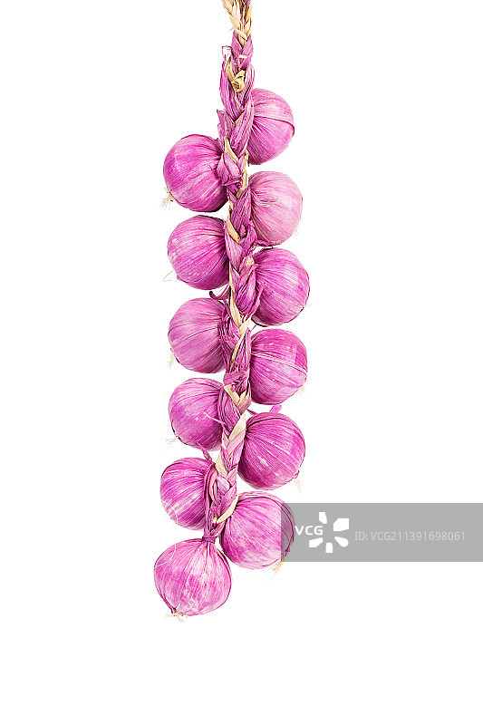 辫状缠绕的仿真洋葱，摩尔多瓦图片素材