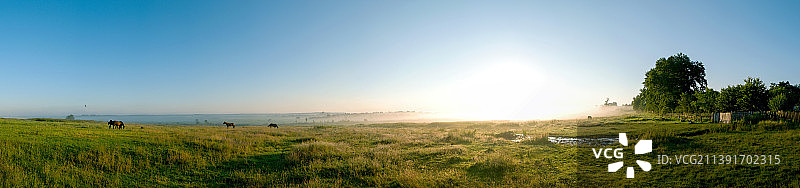 山脉的壮丽全景，马匹在牧场上，夏季山地全景图片素材