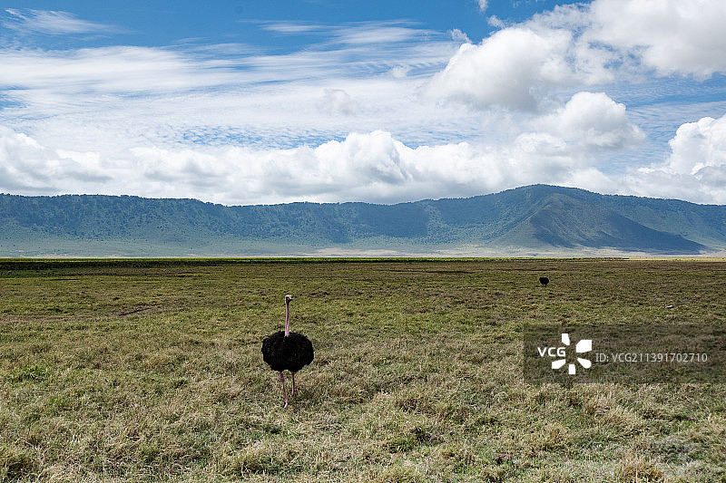 坦桑尼亚的田野风光图片素材