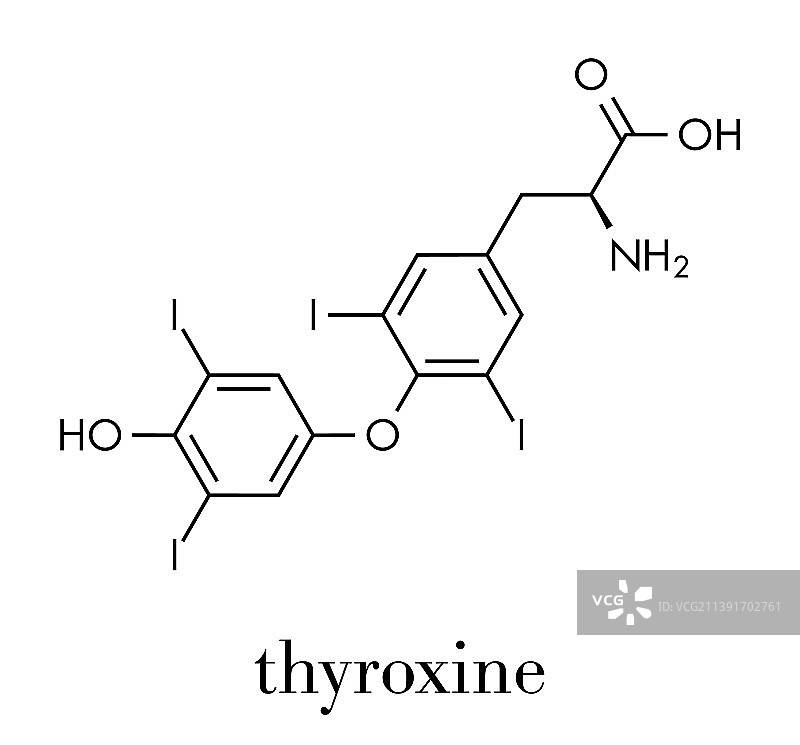 甲状腺素T4图片素材