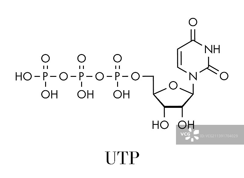 尿苷三磷酸 UTP 核苷酸分子图片素材