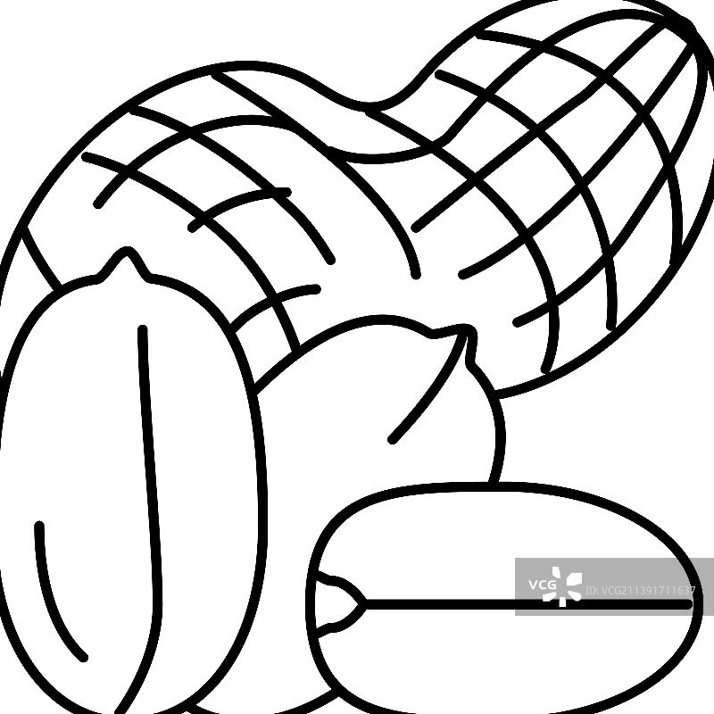 花生线条图标图片素材