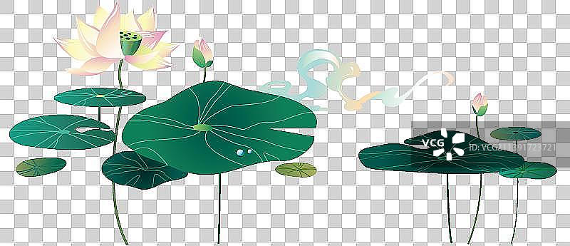 荷花池图片素材