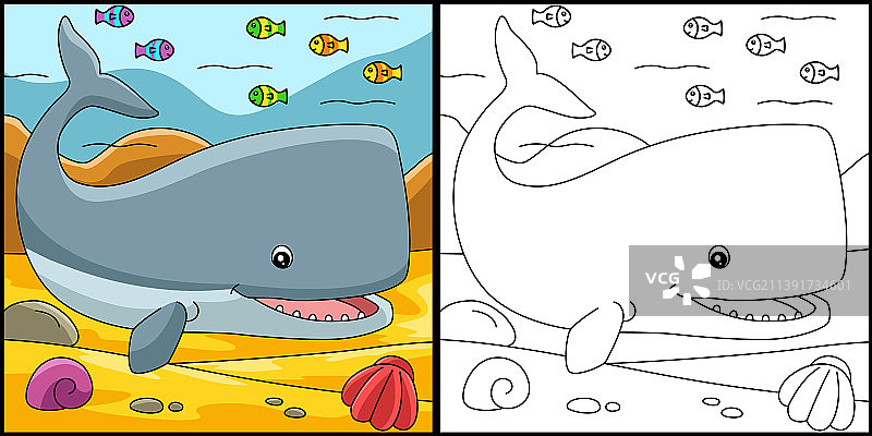 抹香鲸涂色页图片素材