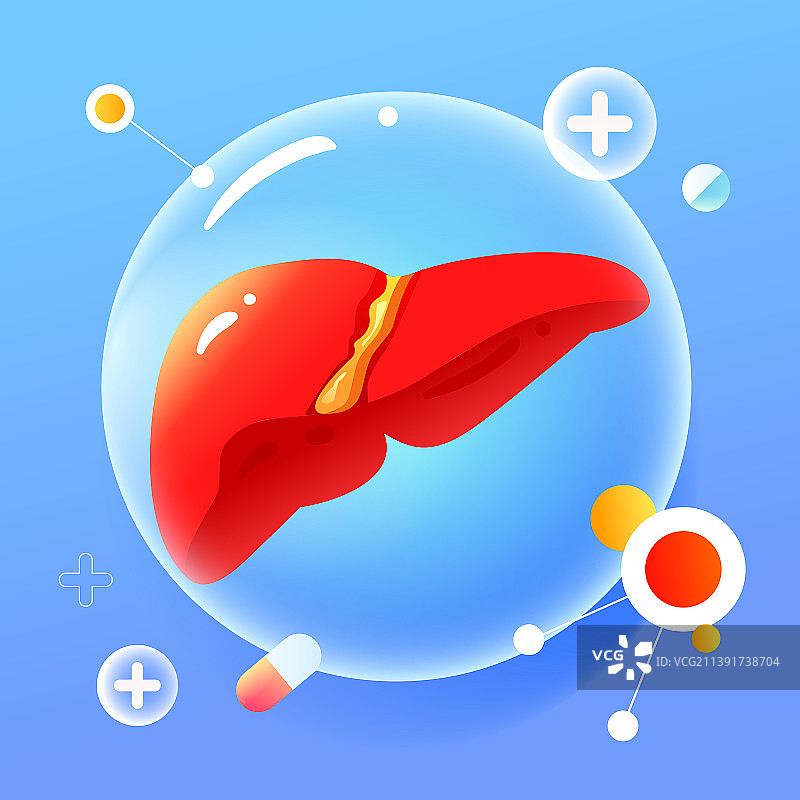 世界肝炎日医生检查肝脏治疗肝炎疾病插画图片素材