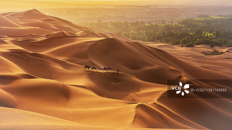 奔向绿洲图片素材