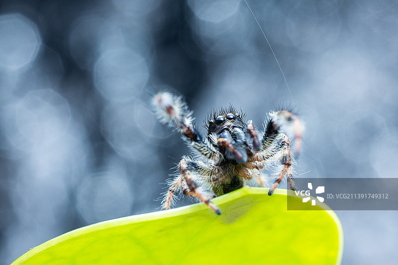 浪起来！图片素材