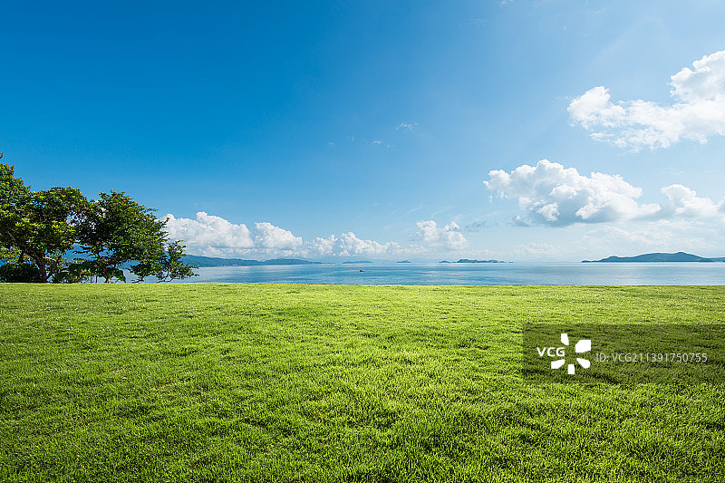 户外草地图片素材