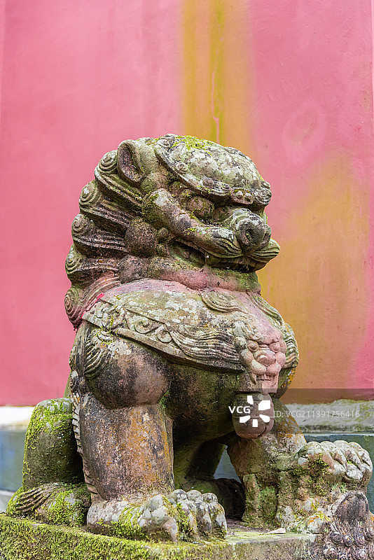 中国四川蒙顶山天盖寺的石狮子图片素材