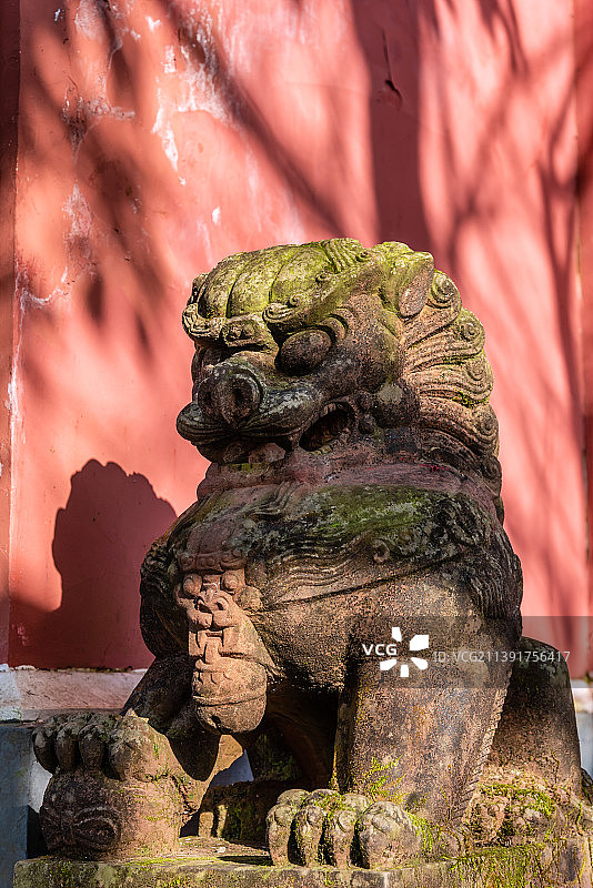 中国四川蒙顶山天盖寺的石狮子图片素材