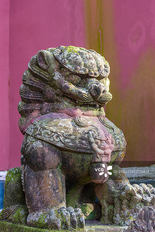 中国四川蒙顶山天盖寺的石狮子图片素材