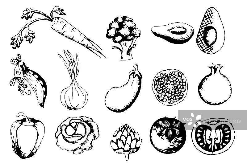 手绘蔬菜单色图形图片素材