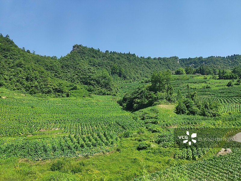 西南山区耕地图片素材