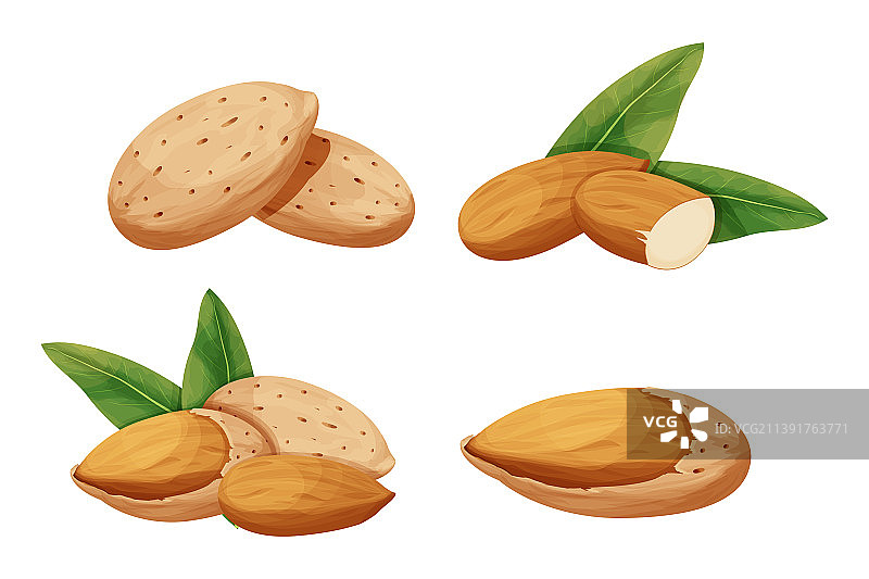 带叶子的带壳杏仁特写图片素材