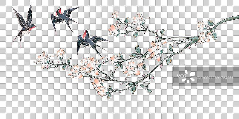 玉兰花开了，燕子飞舞，春天来了图片素材