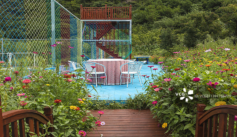 枝繁叶茂的花园图片素材