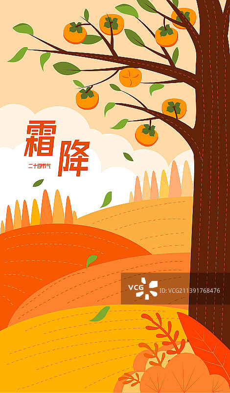 霜降节气风景插画矢量扁平风柿子树图片素材