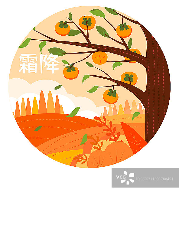 霜降节气风景插画矢量扁平风柿子树图片素材