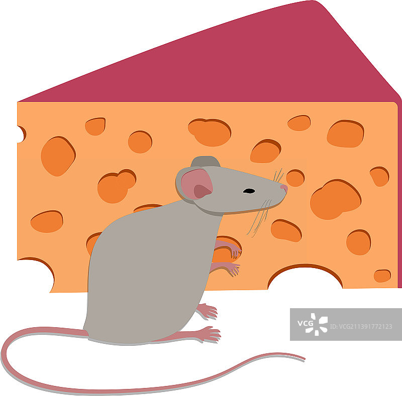 奶酪旁边的可爱老鼠设计图片素材