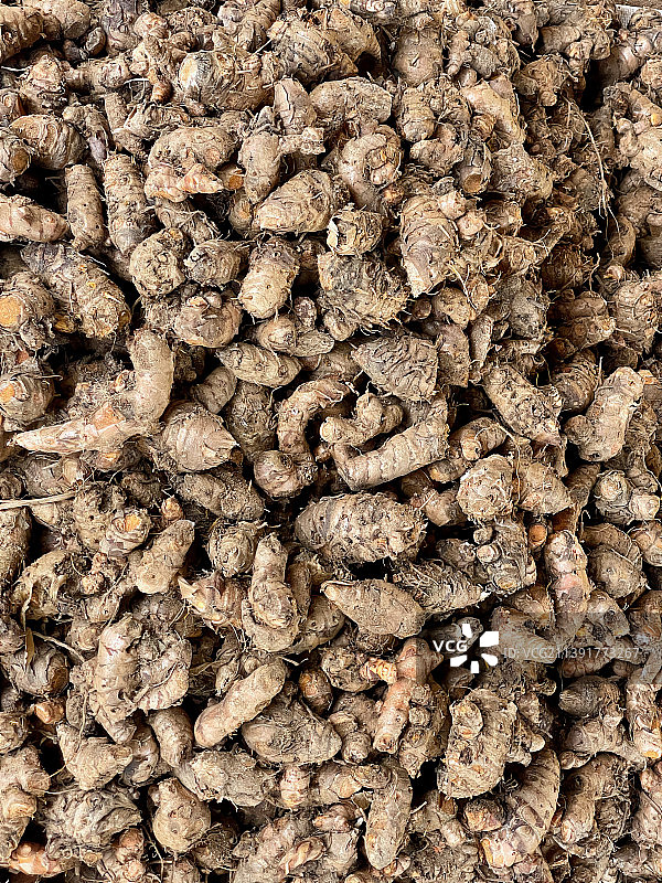 斯里兰卡的姜黄香料丰收图片素材