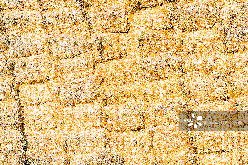 西班牙里奥哈的麦秸捆图片素材