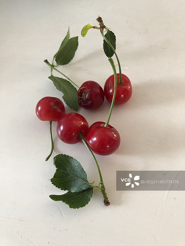 桌子上樱桃特写，海尔德马尔森，荷兰图片素材
