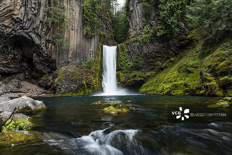 美国俄勒冈州托基蒂瀑布的森林美景图片素材