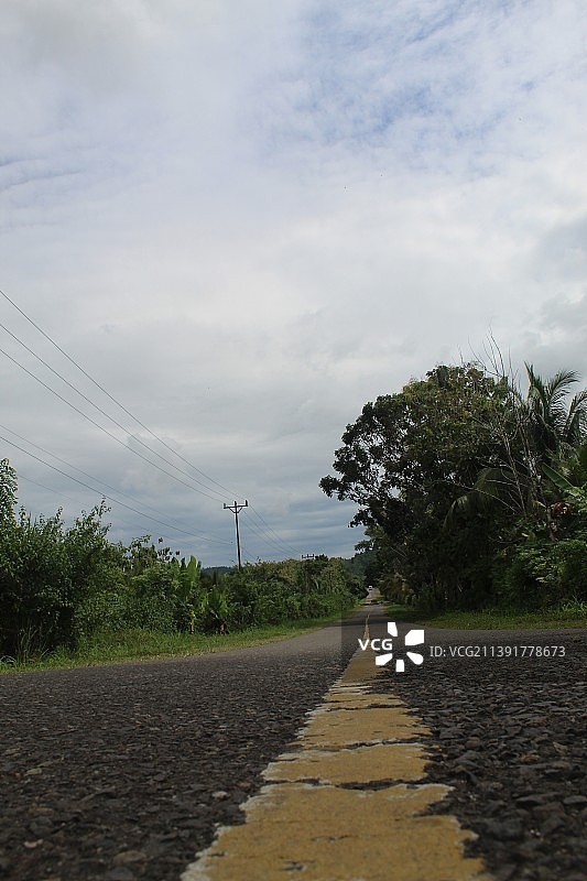 树木间的公路图片素材