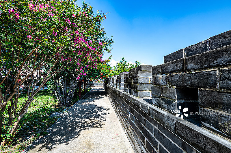 蓝天下的山东济宁任城太白楼城墙与红花绿树图片素材